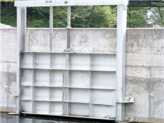 Miscellaneous Product